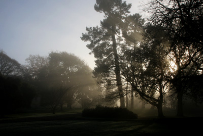 霧のハグレーパーク